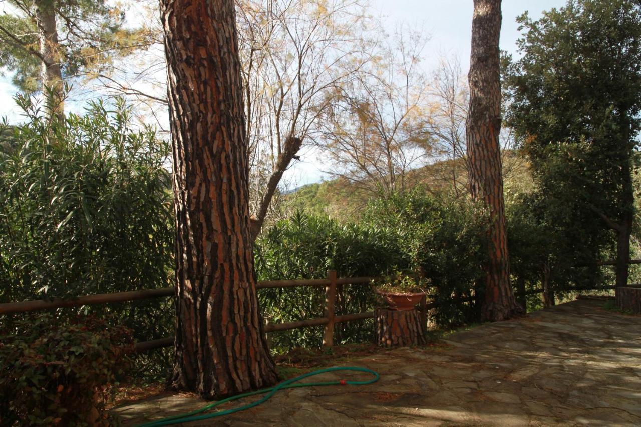 Villa Giulia Al Mare Castiglione della Pescaia Εξωτερικό φωτογραφία