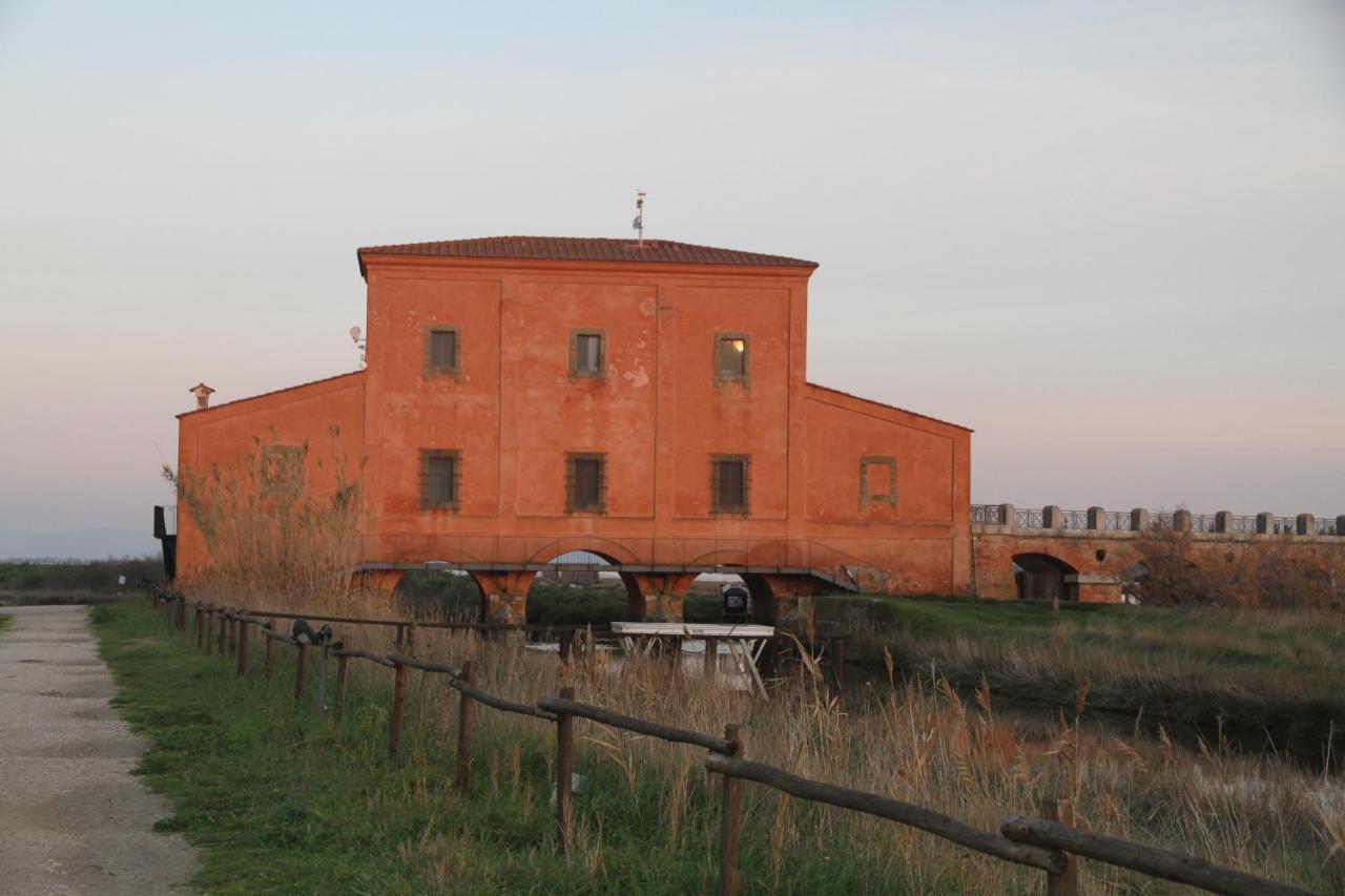 Villa Giulia Al Mare Castiglione della Pescaia Εξωτερικό φωτογραφία