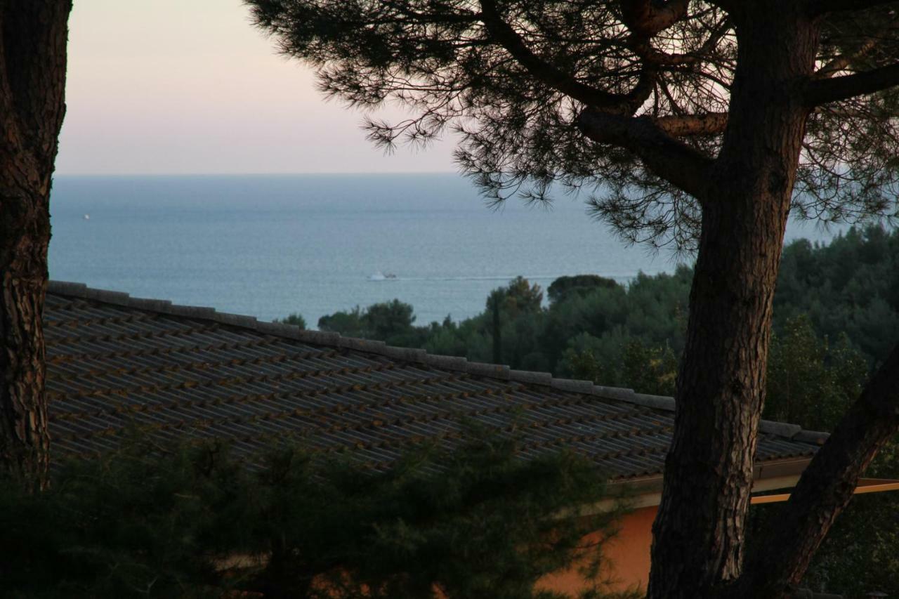 Villa Giulia Al Mare Castiglione della Pescaia Εξωτερικό φωτογραφία