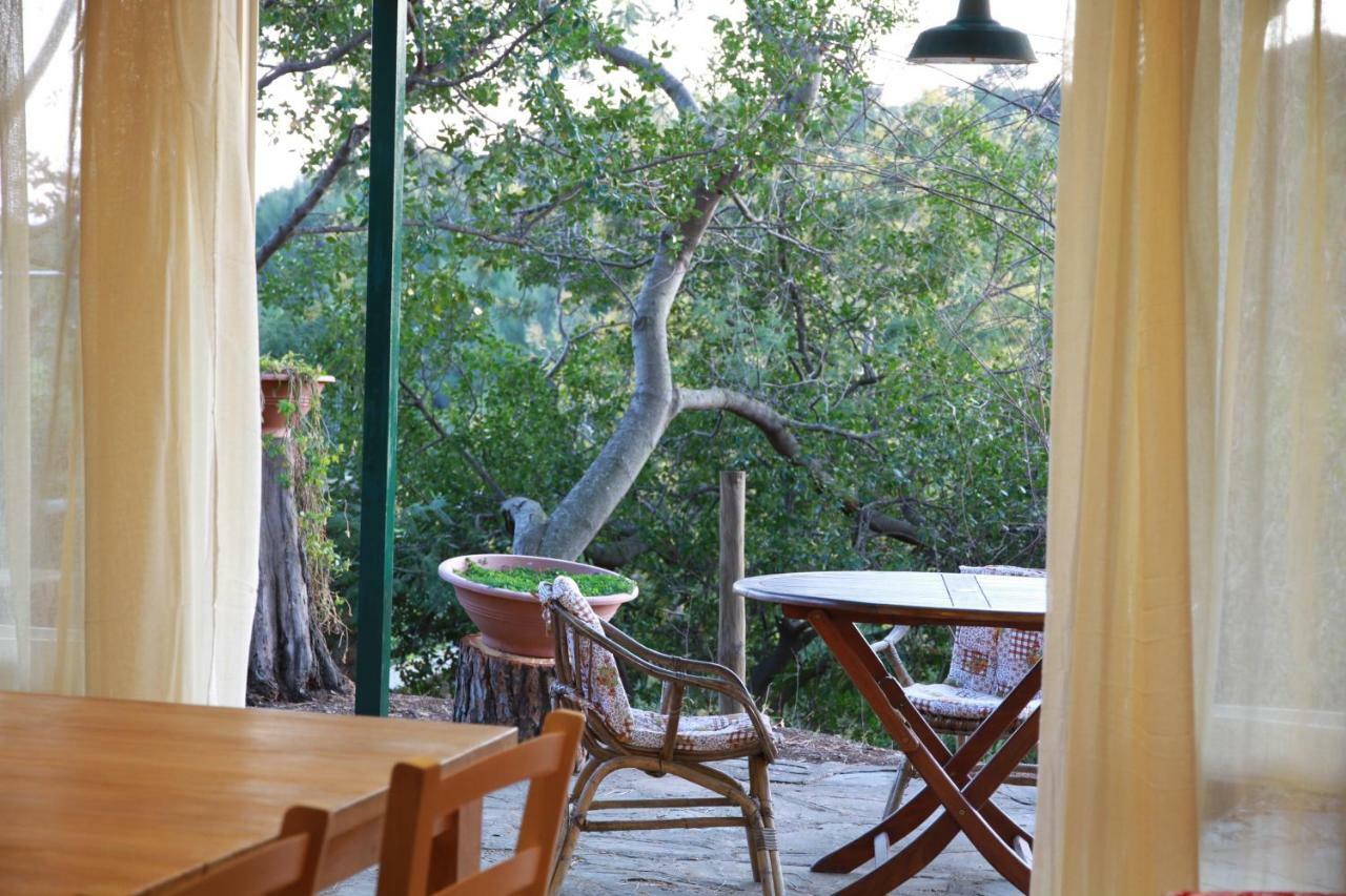 Villa Giulia Al Mare Castiglione della Pescaia Εξωτερικό φωτογραφία